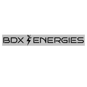 Logo partenaire bdx gris