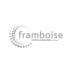 Logo partenaire framboise gris