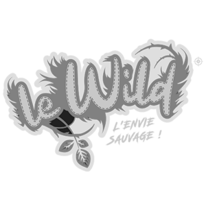 Logo partenaire lewild gris